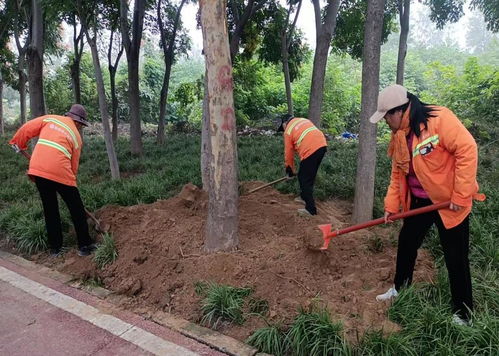 秋季移植添新綠，精細養護煥新顏 樹木種植指南